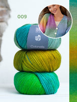009