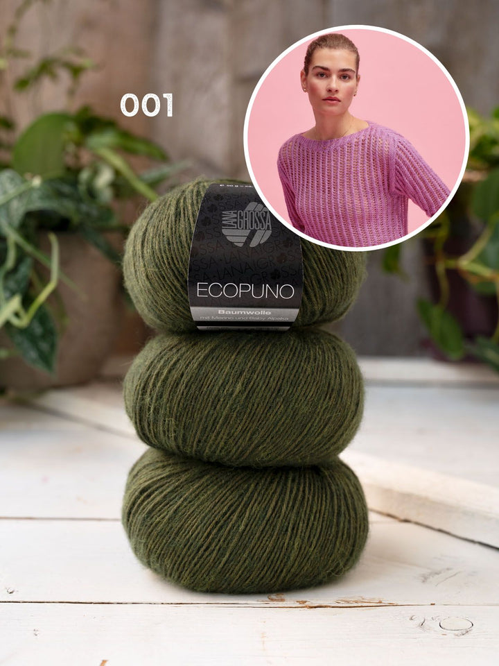 Strickpaket Ecopuno Pullover