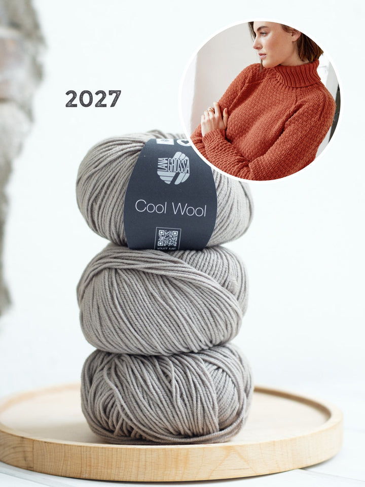 Strickpaket Cool Wool Raglanpullover