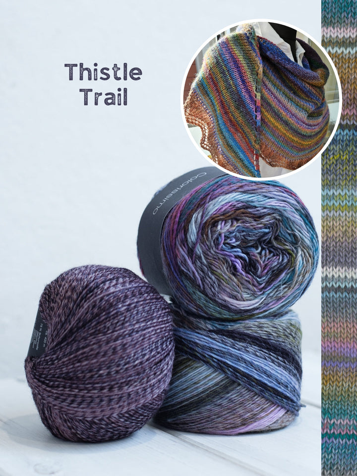 Strickpaket Lizas Tuch Silberfarn - Colorissimo
