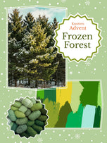 Frozen Forest