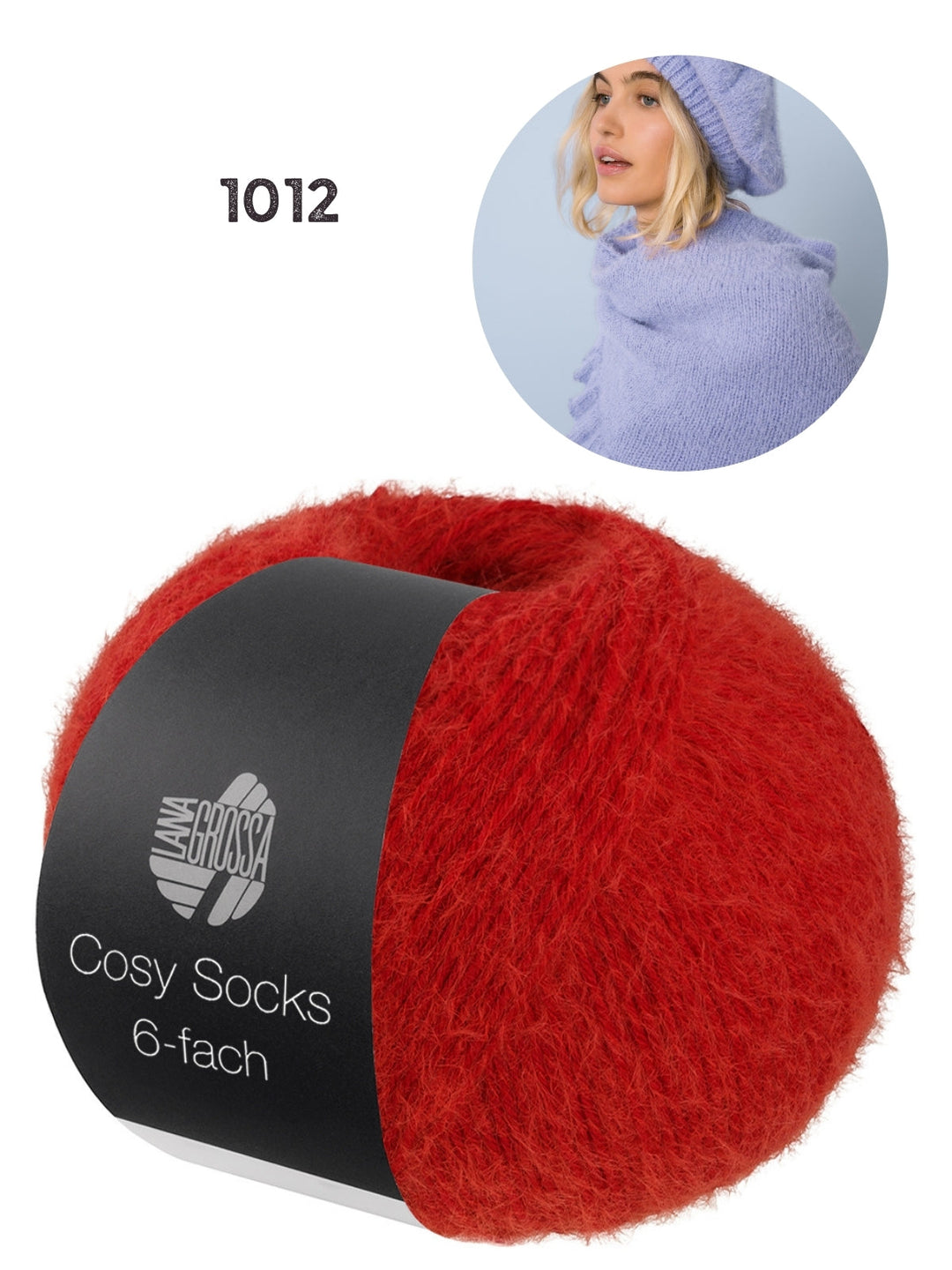 Breipakket Cosy Socks 6-fach kleur 1012