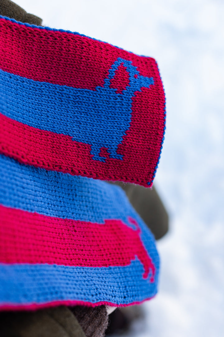 Strickpaket Sausage Dog Scarf - Devout Hand