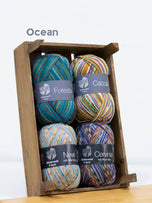 Ocean